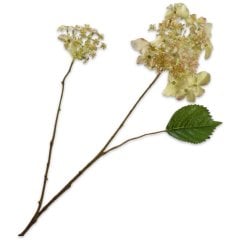 Гортензия, ветка, светло-зеленая, 71 см. Silk-ka 160475