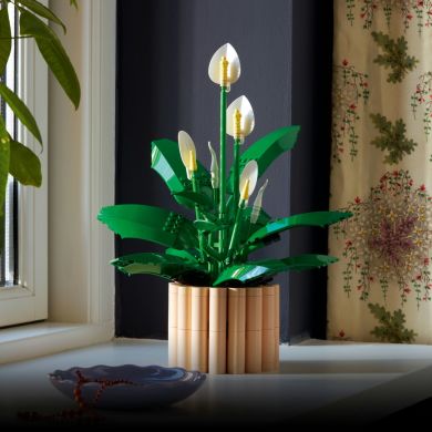 Конструктор LEGO Botanicals Спатифілум 11504