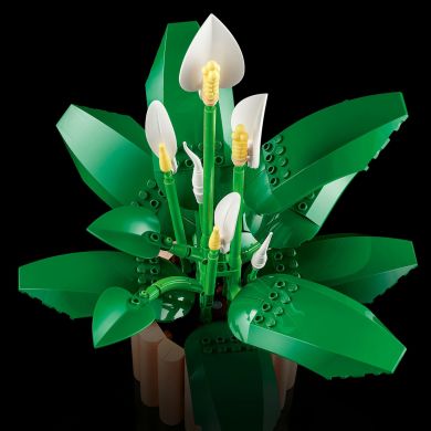 Конструктор LEGO Botanicals Спатифілум 11504