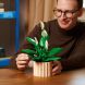 Конструктор LEGO Botanicals Спатифілум 11504