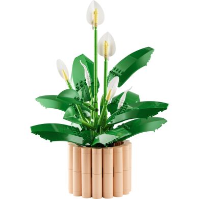 Конструктор LEGO Botanicals Спатифілум 11504