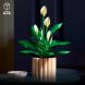 Конструктор LEGO Botanicals Спатифілум 11504