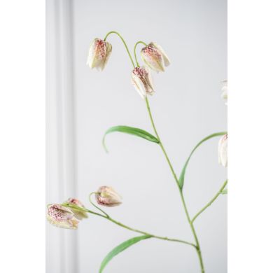 Фритилярия, ветка, лиловая, 70 см. Silk-ka 161257