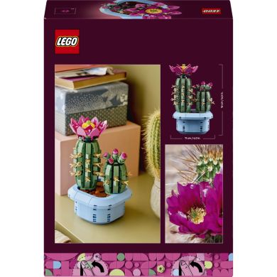 Конструктор LEGO Botanicals Цветение кактуса 11509