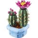 Конструктор LEGO Botanicals Цветение кактуса 11509