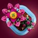 Конструктор LEGO Botanicals Цветение кактуса 11509
