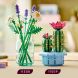 Конструктор LEGO Botanicals Цветение кактуса 11509