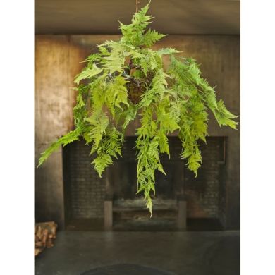 Цветок искусственный Аспарагус подвесной зеленый 109 см. Silk-ka 129092