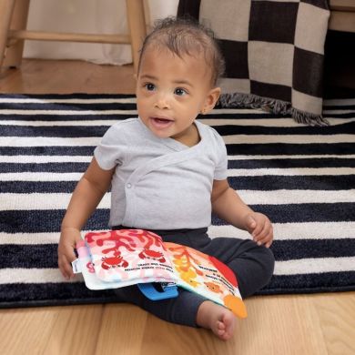 Книга-грызунец Baby Einstein Shades of the Sea 17615