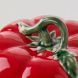 Масленка с крышкой Tomato Bordallo Pinheiro 20х12 см 65007111