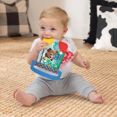 Книга-грызунец Baby Einstein Shapes at the Farm 17614