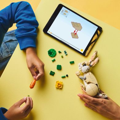 Конструктор Чарівне кроленя LEGO Creator 31162