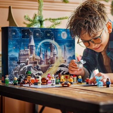 Конструктор LEGO Адвент календарь 2025 года Harry Potter TM 76456