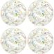 Набор из 4 десертных тарелок в подарочной коробке BIRDS MELODY POZZI MILANO M006R0924BIME