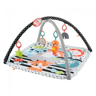 Килимок-ігровий центр 3-в-1 Веселі розваги Fisher-Price HBP41