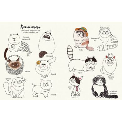 Котюрморт. Як малювати котиків. ZHORZH 309924