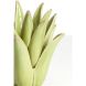 Підсвічник &Oslash;21x21 см CACTUS керамічний світло-зелений Light&Living 7770875