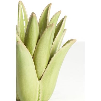 Підсвічник &Oslash;21x21 см CACTUS керамічний світло-зелений Light&Living 7770875