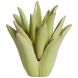 Підсвічник &Oslash;21x21 см CACTUS керамічний світло-зелений Light&Living 7770875