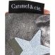 Подвійний пенал Падаюча зірка Caramel TROUSSEDBL061