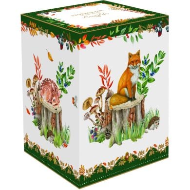 Банка з кришкою з порцеляни &Oslash;11x16h см в коробці FOREST DREAM POZZI MILANO 1645FOD, 16