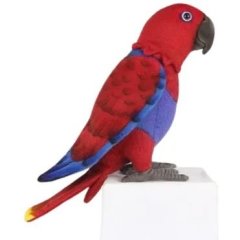М'яка іграшка Позуючий папуга Електус (самка) довжина 24 см Hansa 8430