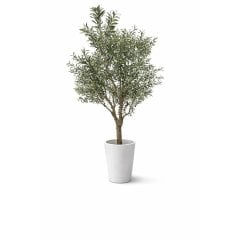 Оливкове дерево Vogue з вазоном, h 250 см, EDG 2300554A700