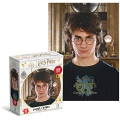 Пазл Hard-M Гарри Поттер Портрет Гарри Dodo 200576