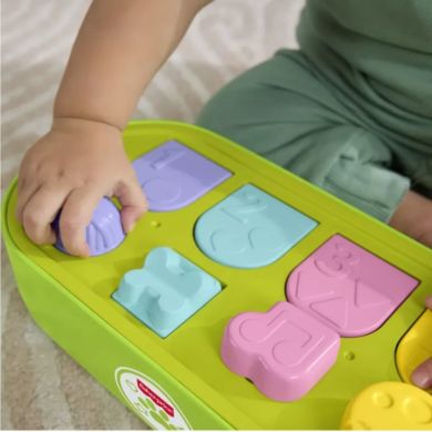 Развивающая игрушка Укрытия со зверятами Fisher-Price JDL66