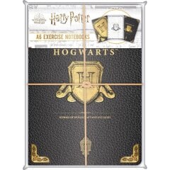 Комплект из 3 тетрадей Blue Sky Гарри Поттер 0592063-HP148444