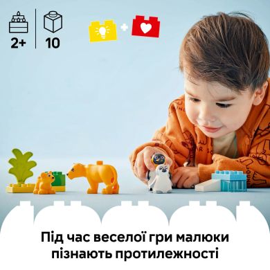 Конструктор Семейства диких животных: Пингвины и Львы LEGO DUPLO Town 10442