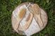 Набор деревянных расчесок Miniland Baby Natur Haircare Chip 89338, Айвори