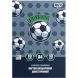 Картон цветной двусторонний Yes Football, 10 листов, А4, папка 955502