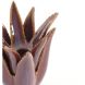 Свічник &Oslash;11,5x11,5 см CACTUS кераміка темно-фіолетовий Light&Living 6061587