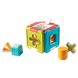 Развивающая игрушка-сортер Tiny Love Куб 1504300030, Разноцветный