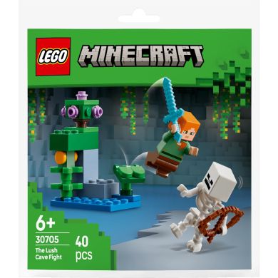Конструктор Бой в пещере с зарослями LEGO Bags Minecraft 30705