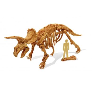 Набор раскопок Dino Kit Трицератопс BUKI FRANCE 439TRI