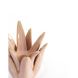 Підсвічник &Oslash;11,5x11,5 см CACTUS керамічний кораловий Light&Living 6061537