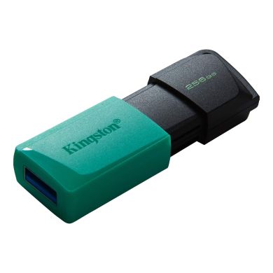 Накопичувач Kingston 256GB USB 3.2 Type-A Gen1 DT Exodia M DTXM/256GB