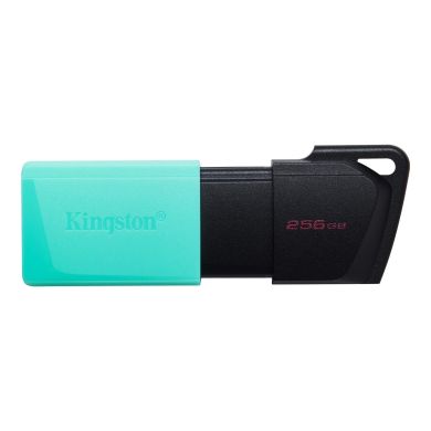 Накопичувач Kingston 256GB USB 3.2 Type-A Gen1 DT Exodia M DTXM/256GB