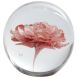 Украшение &Oslash;8x8 см FLOWER, стекло, светло-розовый Light&Living 7492895
