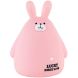 Скарбничка Kite Pink Bunny K25-498-9