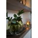 Ваза &Oslash;24,5x22 см MURELA оливково-зелене скло Light&Living 5810281