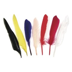 Индийские перья Rayher 12 шт 17,5 см разноцветные 8525449