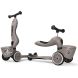 Самокат Scoot and Ride серии Highwaykick-1 Lifestyle коричневый, до 3р/20кг SR-210621-BROWNLINES