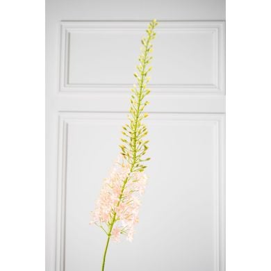Эремурус, стебель, светло-розовый, 107 см. Silk-ka 160691