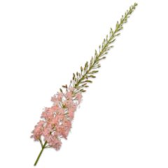 Эремурус, стебель, светло-розовый, 107 см. Silk-ka 160691