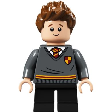 Конструктор LEGO Harry Potter Hogwarts moment Урок зіллєваріння 271 деталь 76383