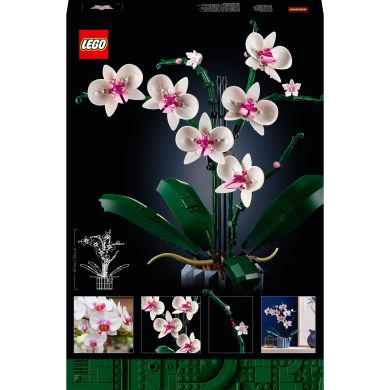 Конструктор Орхідея LEGO Icons 10311