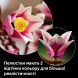 Конструктор Гілки магнолії LEGO Botanicals 11510